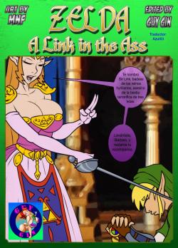 Cover Zelda – A Link in the Ass
