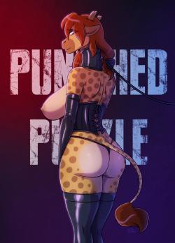 Cover Punished Puzzle